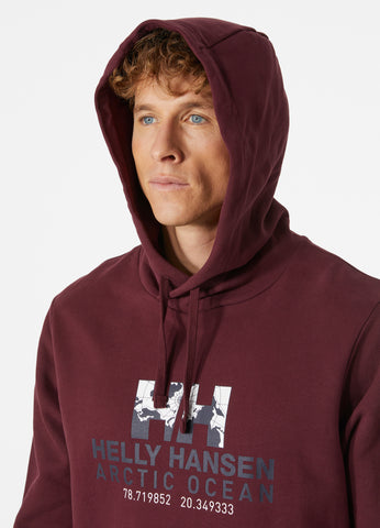 סווטשירט מכותנה אורגנית ארקטיק אושן | Men’s Arctic Ocean Organic Cotton Hoodie